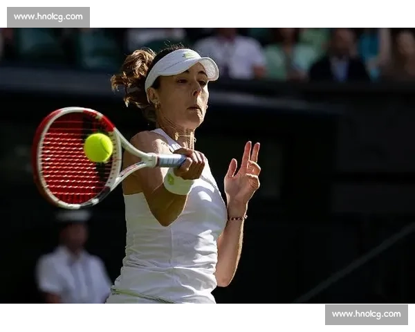 科内特的草地绝唱：温网记忆中的永恒遗憾